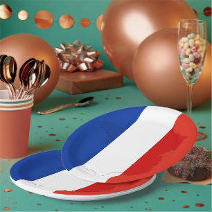 French flag paper plate
