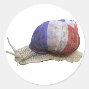 French flag snail classic round sticker