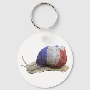 French flag snail key ring