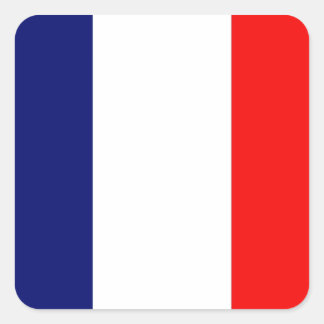 French Flag Square Sticker