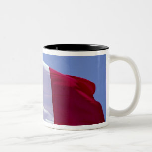French flag Two-Tone coffee mug
