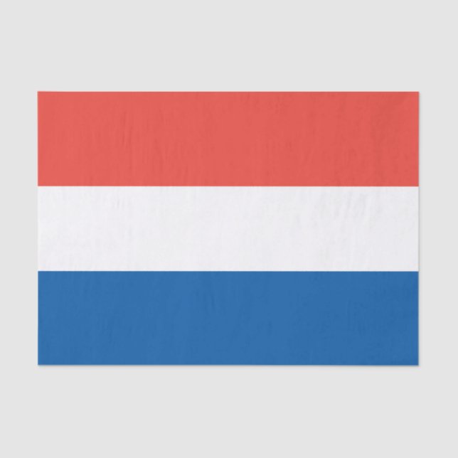 French Flag, Vive la France, Bastille Day Party Tissue Paper (Front)