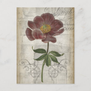 French Floral I Postcard