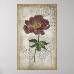 French Floral I Poster