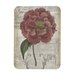 French Floral III Magnet