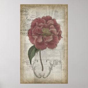 French Floral III Poster