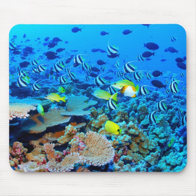 French Frigate Shoals reef with fish. Mouse Pad (Front)