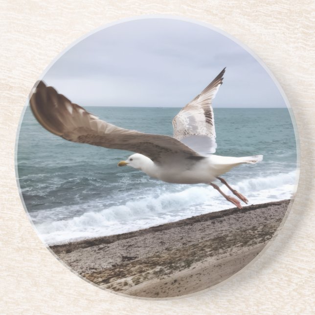 French gull of Etretat Coaster (Front)