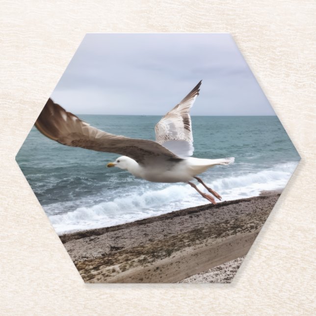 French gull of Etretat Paper Coaster (Front)