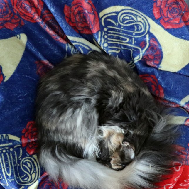 French Horn Fleece Blanket (Creator Uploaded)