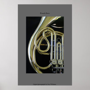 French Horn Poster