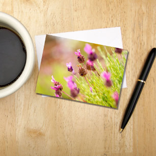 French Lavender Flowers Note Card