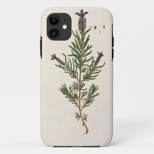 French Lavender, plate 241 from 'A Curious Herbal' Case-Mate iPhone Case (Back)