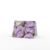 French Lavender Roses