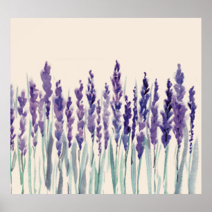 French Lavender: Watercolor Illustration Poster