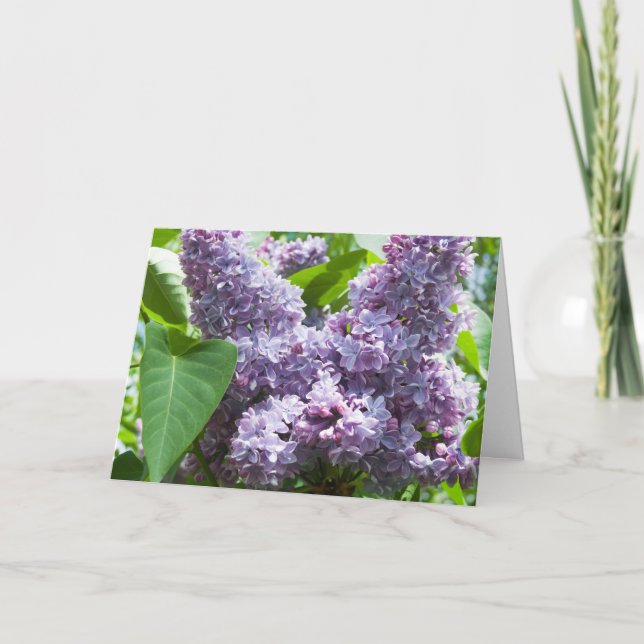 French Lilac Get Well Card Template (Front)