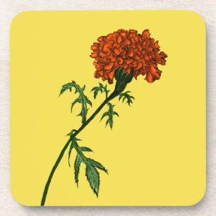 French Marigold Flower Ink Drawing Coaster