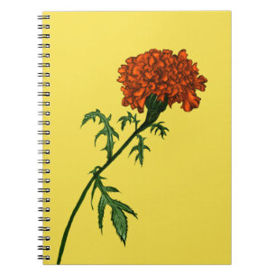 French Marigold Flower Ink Drawing Notebook