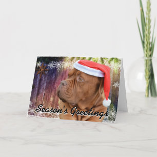 French Mastiff Christmas card