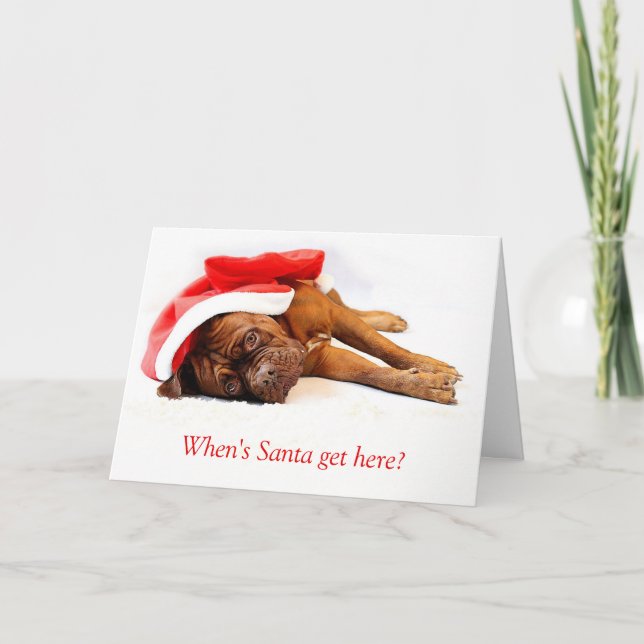 French Mastiff Christmas Card (Front)
