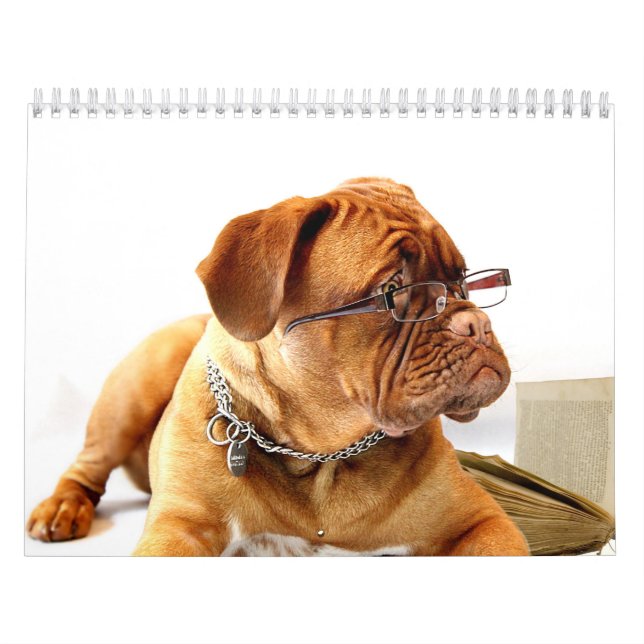French Mastiff Dogue de Bordeaux Calendar (Cover)