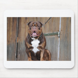 French Mastiff Mouse Pad