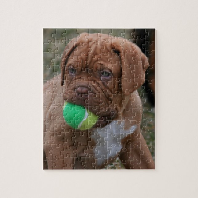 French Mastiff Puppy Jigsaw Puzzle (Vertical)