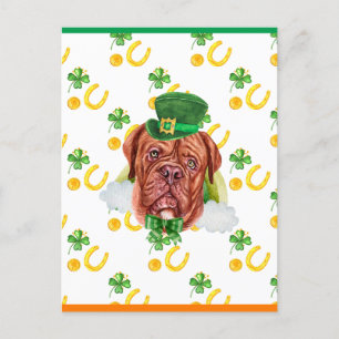 French Mastiff Shamrock St. Patricks Day Holiday Postcard