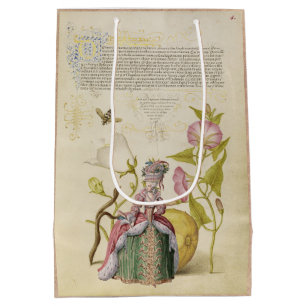 French Mediaeval Lady and Script Gift Bag