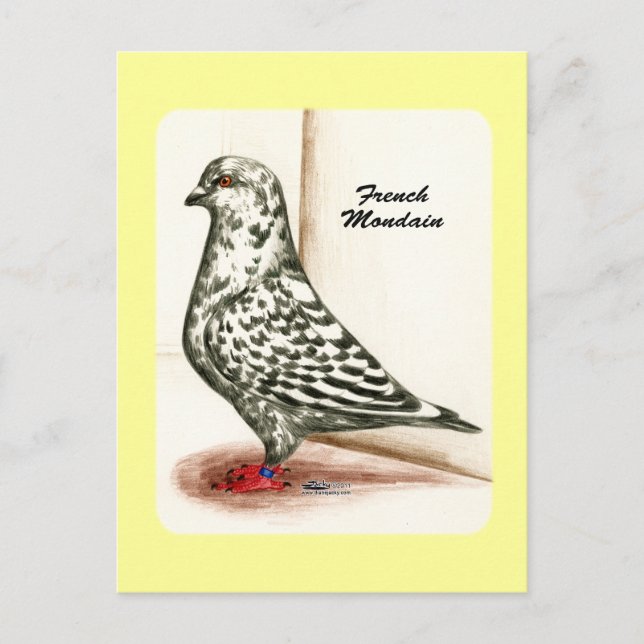 French Mondain 1973 Postcard (Front)