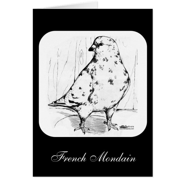 French Mondain Pigeon 1978 (Front)