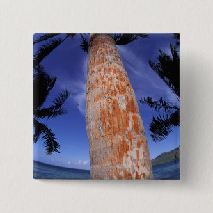 French Polynesia, Bora Bora, Palm trees 15 Cm Square Badge