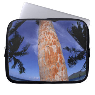 French Polynesia, Bora Bora, Palm trees Laptop Sleeve