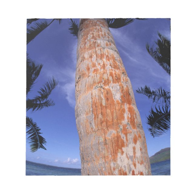French Polynesia, Bora Bora, Palm trees Notepad (Front)