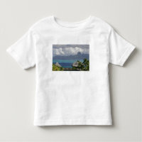 French Polynesia, Moorea. A view of the island