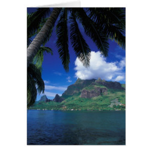 French Polynesia, Moorea. Cooks Bay. Green