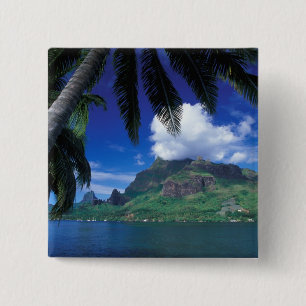 French Polynesia, Moorea. Cooks Bay. Green 15 Cm Square Badge