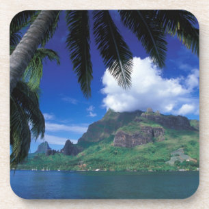 French Polynesia, Moorea. Cooks Bay. Green Coaster