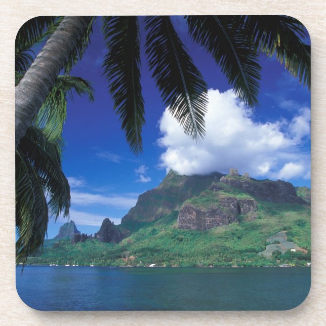 French Polynesia, Moorea. Cooks Bay. Green Coaster (Front)
