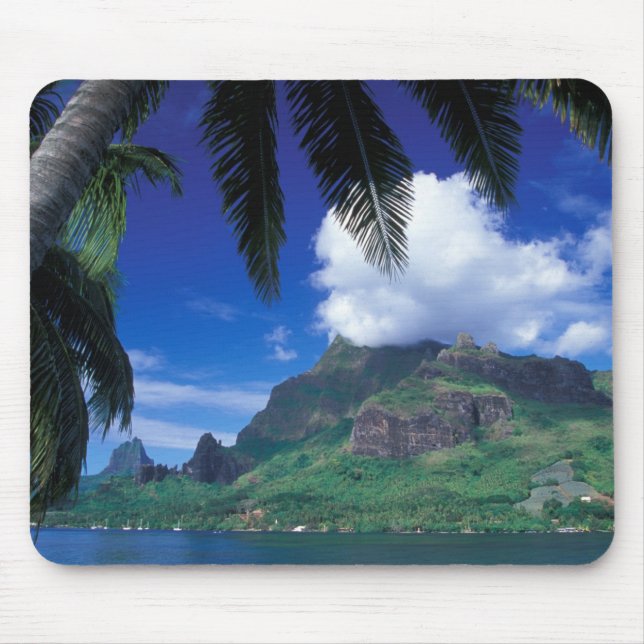 French Polynesia, Moorea. Cooks Bay. Green Mouse Pad (Front)
