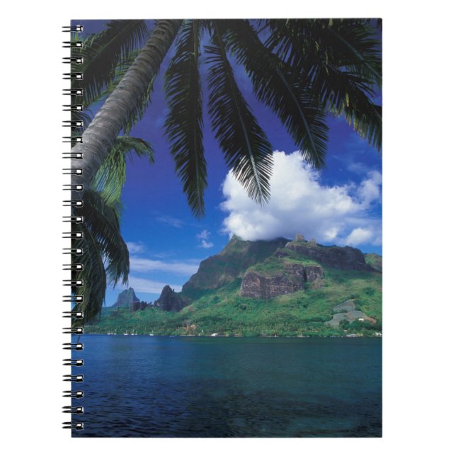 French Polynesia, Moorea. Cooks Bay. Green Notebook (Front)