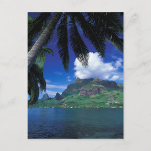French Polynesia, Moorea. Cooks Bay. Green Postcard