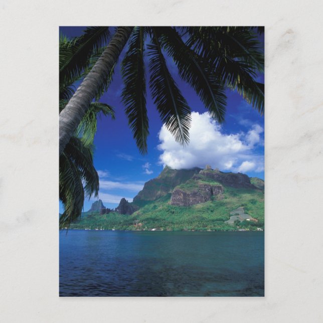 French Polynesia, Moorea. Cooks Bay. Green Postcard (Front)