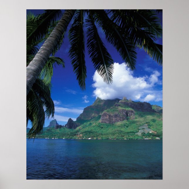 French Polynesia, Moorea. Cooks Bay. Green Poster (Front)