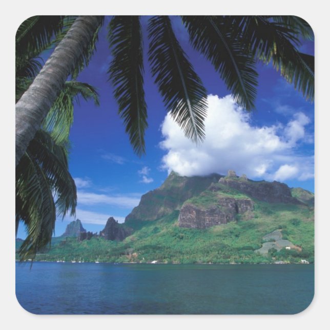French Polynesia, Moorea. Cooks Bay. Green Square Sticker (Front)