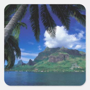 French Polynesia, Moorea. Cooks Bay. Green Square Sticker