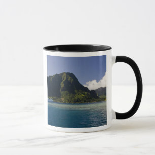 French Polynesia, Moorea. The Paul Gauguin Mug