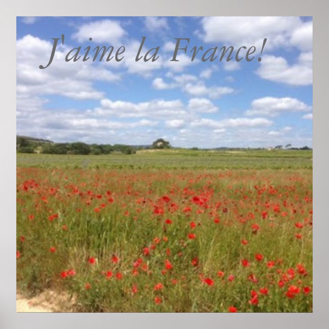 French Poppies in Southern France Poster (Front)