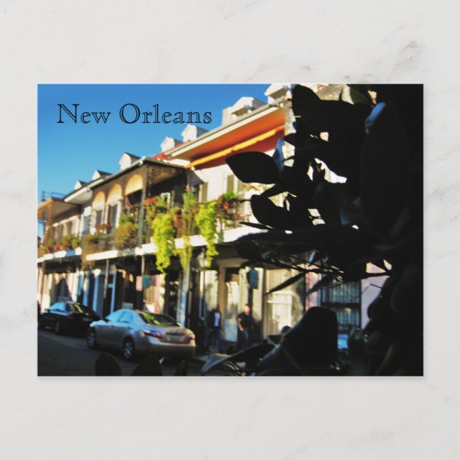 French Quarter Feeling Postcard (Front)