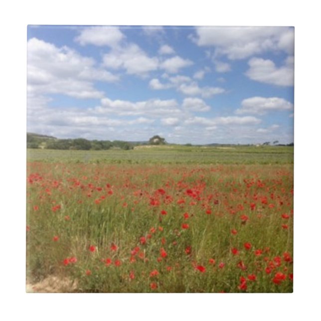 French Red Poppies and Blue Sky Ceramic Tile (Front)